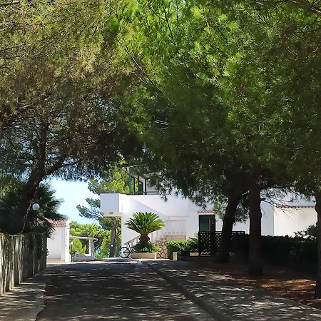 Carabella 3*